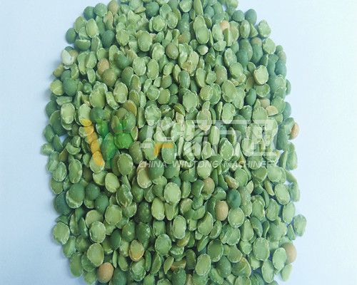 <a href=http://www.hanhng.cn/product/8/ target=_blank class=infotextkey>豌豆脫皮機(jī)</a>